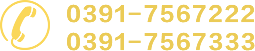 0391-7431555